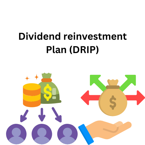 Dividend Reinvestment 