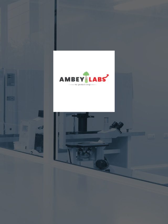 Ambey Laboratories IPO Details