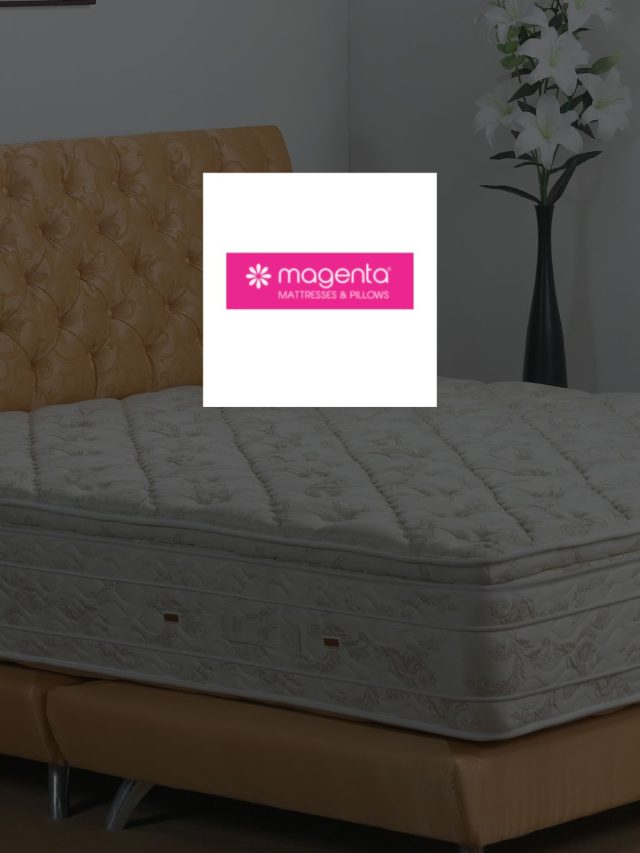 Magenta Lifecare IPO Details