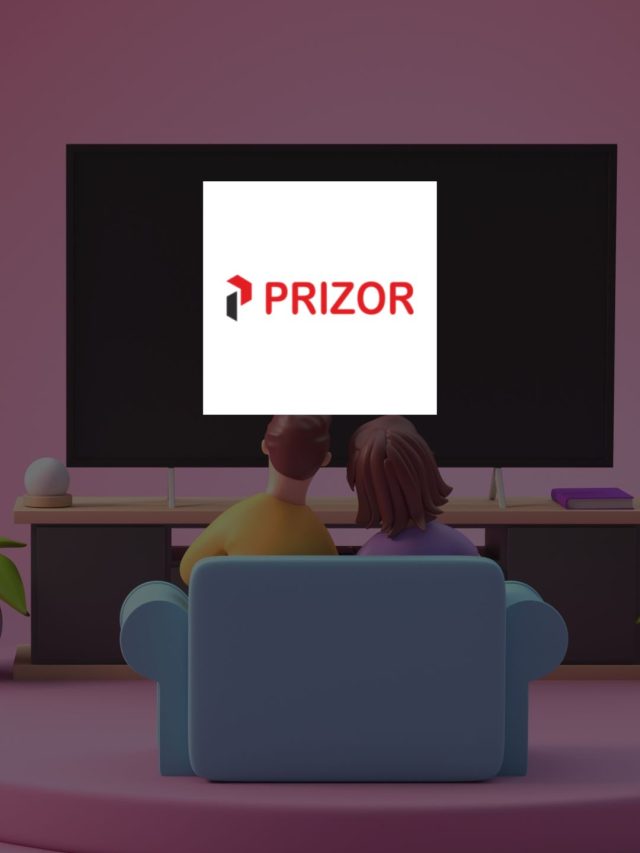 Prizor VizTech IPO Details