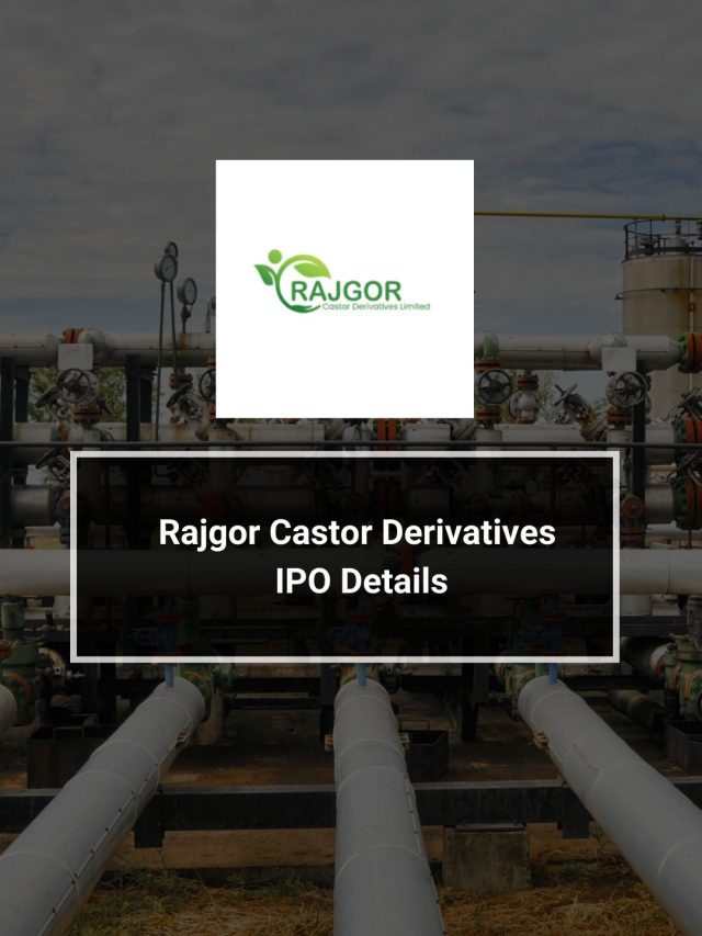 Rajgor Castor Derivatives IPO Details