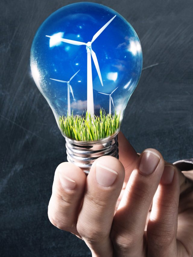 Top 5 Renewable Energy Stocks to Watch for August 2024