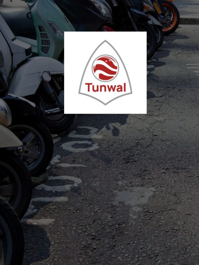 Tunwal E-Motors IPO Details