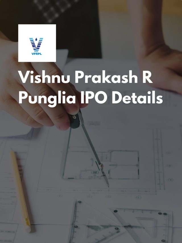 Vishnu Prakash R Punglia IPO Details