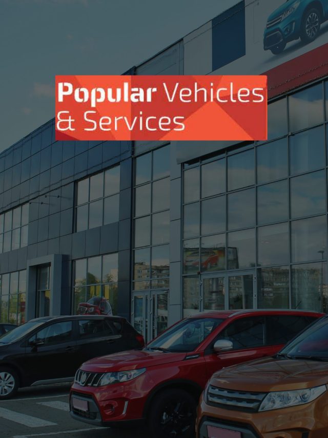 Popular Vehicles & Services IPO Details